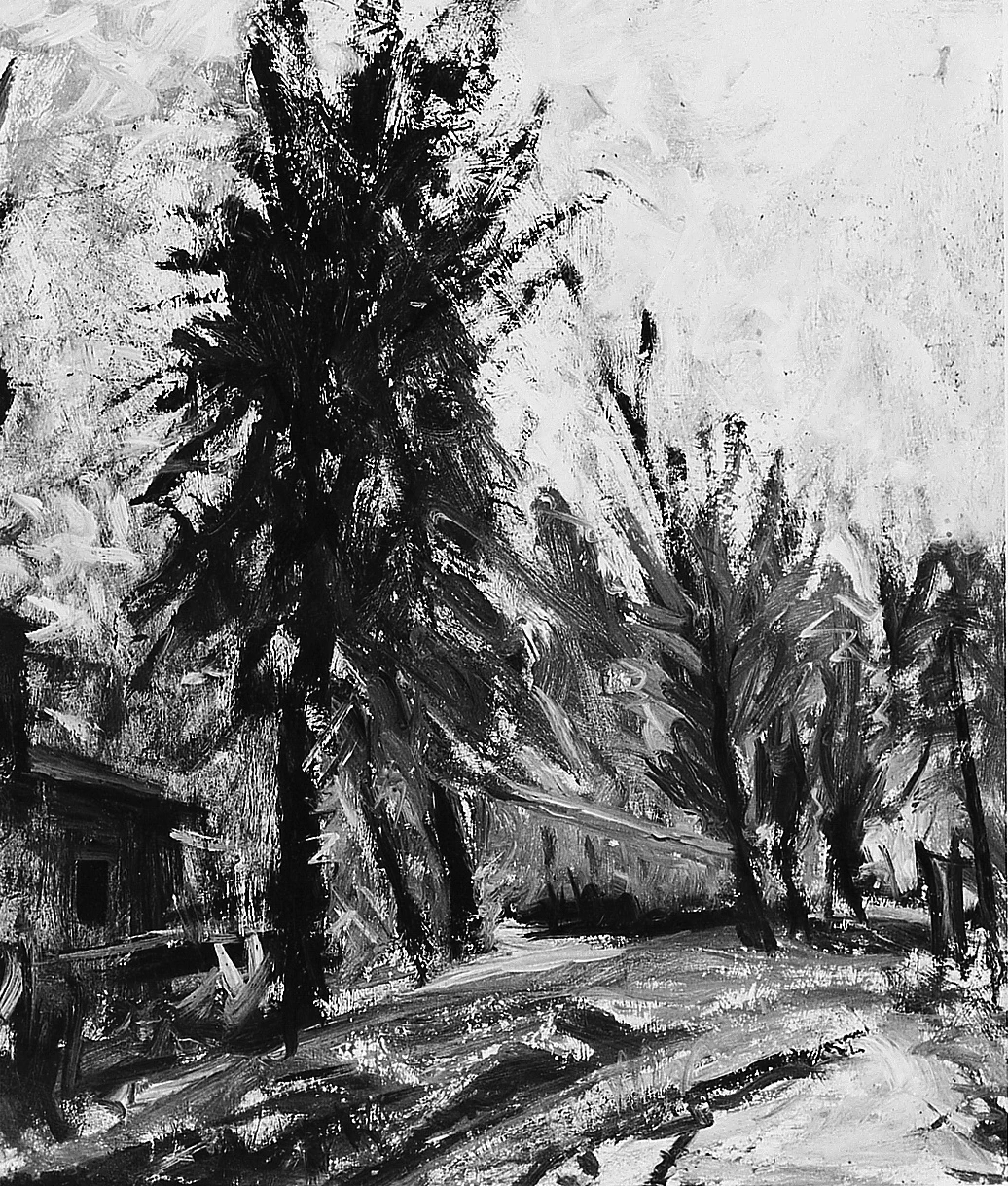 Le Cascine dopo la pioggia. parco delle Cascine a Firenze - Palazzo Pitti